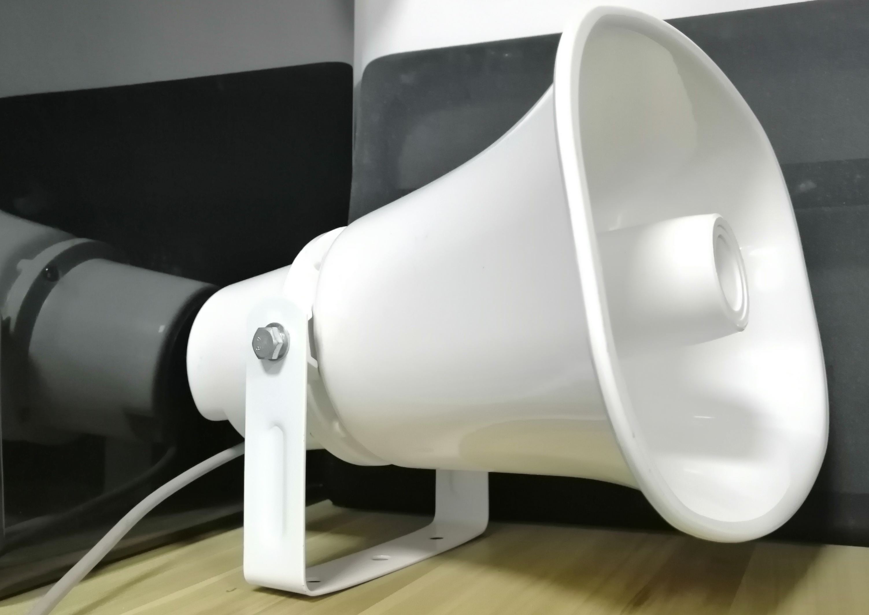 PA-Hormon-Lautsprecher - IP-Beschallungslautsprecher